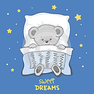 Cute cartoon sleeping Teddy Bear vector illustration.