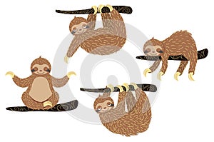 Cute cartoon sloth