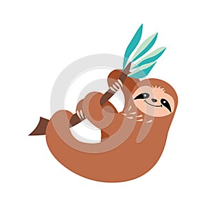 Cute cartoon sloth holding and hanging on a branch