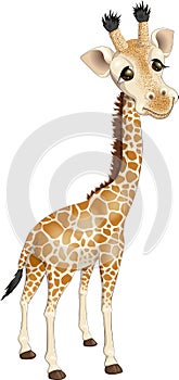 Cute cartoon smiling little giraffe. African animal wildlife vector illustration