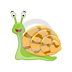 Cute cartoon snail