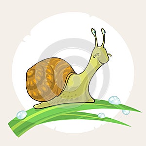 Cute cartoon Snail on grass