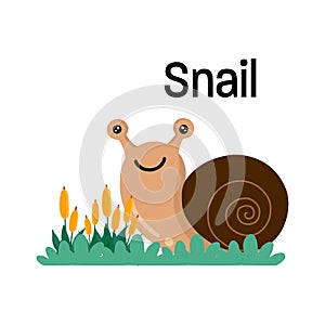 Cute cartoon snail vector illustration