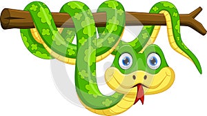 Cute cartoon snake on branch