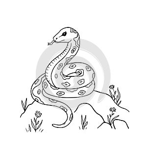 Cute cartoon snake for coloring page or book. Black and white outline illustration of animal character