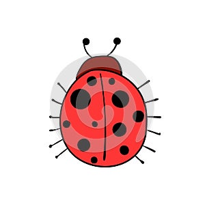 Cute cartoon style red lady bug. Vector illustration