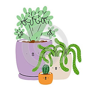 Cute cartoon succulents in pots, vector illustration