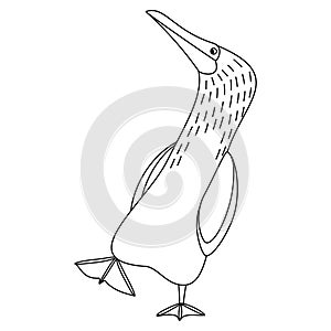 Cute, cartoon sula nebouxii bird. Line art