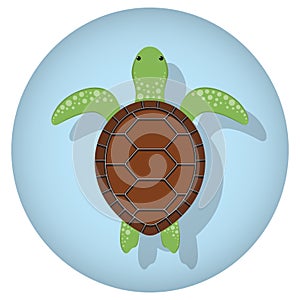 Cute cartoon swimming turtle. Top view, vector illustration