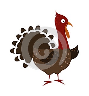 Cute cartoon thanksgiving turkey vector illustration.