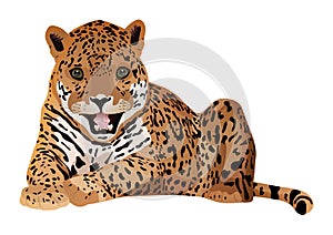 Cute cartoon tiger isolated on a white background. Vector illustration.