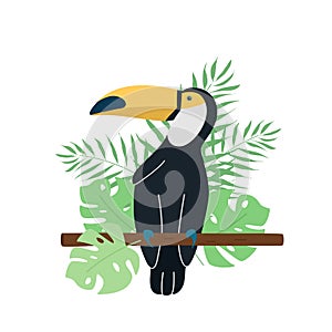 Cute cartoon toucan and leaves of palm trees and monstera. Vector illustration of a tropical bird isolated on white