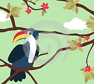 Cute cartoon toucan sitting on a branch