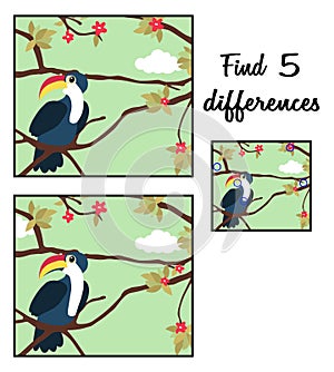 Cute cartoon toucan sitting on a branch. Find 5 differences. With solution
