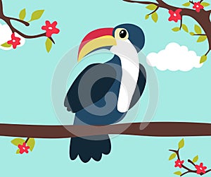 Cute cartoon toucan sitting on a branch over blue sky