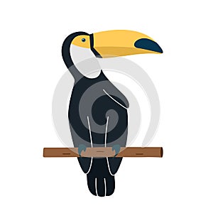 Cute cartoon toucan. Vector illustration of a tropical bird isolated on white