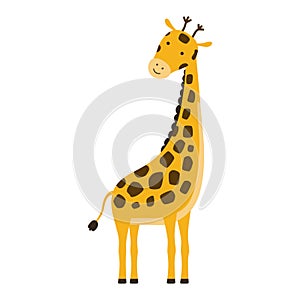 Cute cartoon trendy design giraffe. African animal wildlife vector illustration icon.