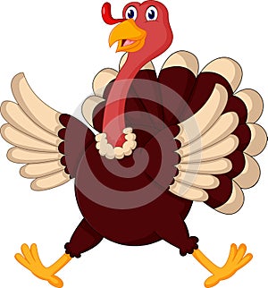 Cute Cartoon turkey