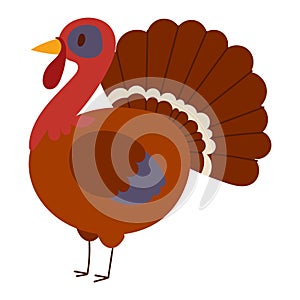 Cute cartoon turkey vector illustration