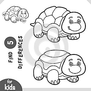 Cute cartoon Turtle animal, Find differences educational game for children