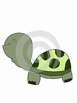 Cute cartoon,turtle animal illustration  white background