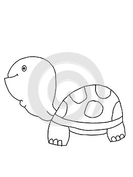 Cute cartoon,turtle animal illustration  white background
