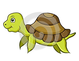 Cute cartoon turtle isolated