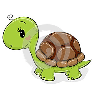 Cute Cartoon Turtle on a white background