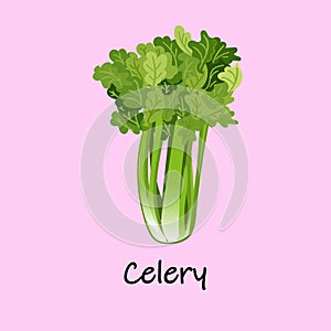 cute cartoon vegetables with smiles on faces and emotions. CARDS FOR CHILDREN'S EDUCATION.Cute vegetable character