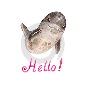 Cute cartoon watercolor dolphing says `hello