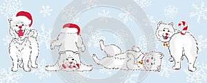 Cute cartoon white dogs, funny pets in christmas hats with bells and candy cane tail, editable vector illustration for holiday