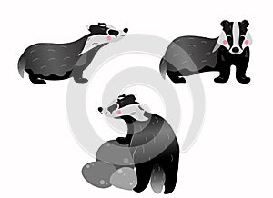 Cute cartoon wild brocks vector set. Badgers in different postures. Forest animals for kids. Isolated on white background