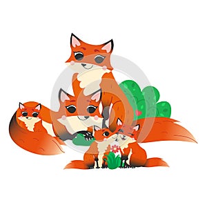 Cute cartoon wild fox family vector image. Male and female foxes with their pups. Forest animals for kids. Isolated on white