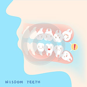 Cute cartoon wisdom teeth