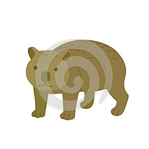 Cute cartoon wombat isolated on white background. Hand drawn vector illustration