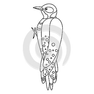 Cute, cartoon woodpecker bird. Line art