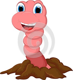 Cute Cartoon Worm photo