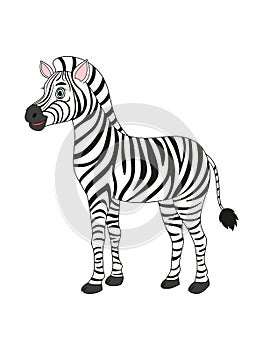 Cute cartoon zebra, striped horse, isolated object on white background.