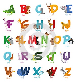 Cute cartoon zoo illustrated alphabet with funny animals. English alphabet.