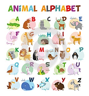 Cute cartoon zoo illustrated alphabet with funny animals. English alphabet.