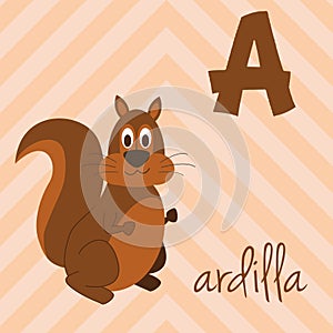 Cute cartoon zoo illustrated alphabet with funny animals. Spanish alphabet: A for Ardilla.