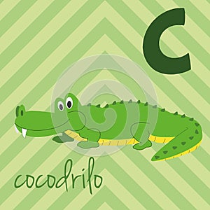 Cute cartoon zoo illustrated alphabet with funny animals. Spanish alphabet: C for Cocodrilo.