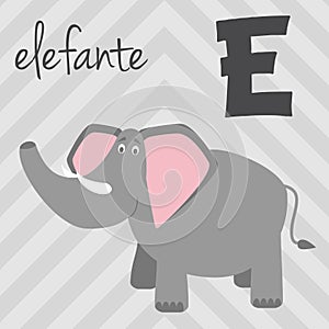 Cute cartoon zoo illustrated alphabet with funny animals. Spanish alphabet: E for Elefante. photo