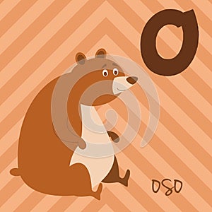 Cute cartoon zoo illustrated alphabet with funny animals. Spanish alphabet: O for Oso. photo