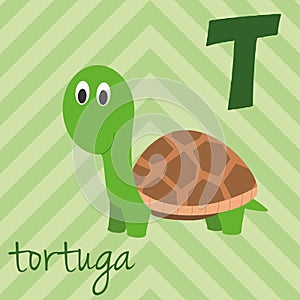 Cute cartoon zoo illustrated alphabet with funny animals. Spanish alphabet: T for Tortuga.