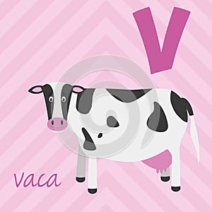 Cute cartoon zoo illustrated alphabet with funny animals. Spanish alphabet: V for Vaca.