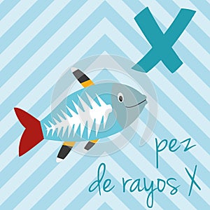 Cute cartoon zoo illustrated alphabet with funny animals. Spanish alphabet: X for Pez de Rayos X. photo