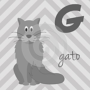 Cute cartoon zoo illustrated alphabet with funny animals. Spanish alphabet: G for Gato. photo