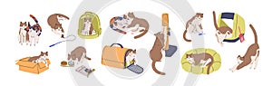 Cute cat activities set. Funny kitty, feline supplies. Home kitten pet life, actions, scenes with box, toys, feed