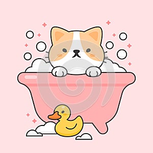 Cute cat in a bathtub and duck rubber